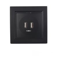 Розетка USB (2 порти) 2A, Enzo  бездоганний графіт